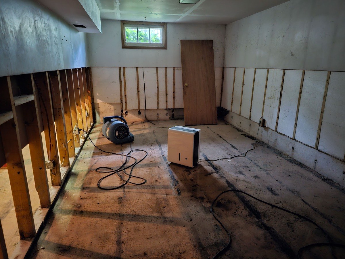 Basement water removal