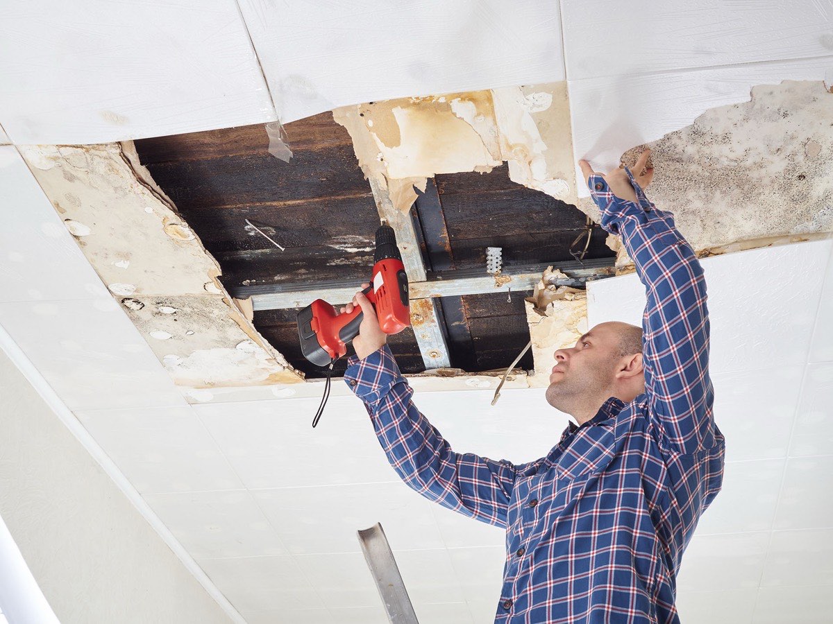 Structural drying and repairs